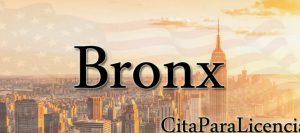 citas solicitar licencia conducir Bronx Nueva York
