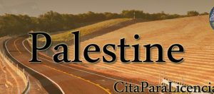 como solicitar licencia conducir Palestine