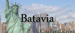 citas para licencia conducir Batavia Genesee NY