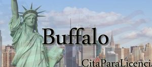citas para licencia conducir Buffalo Érie NY