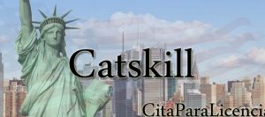 citas para licencia conducir Catskill Greene NY