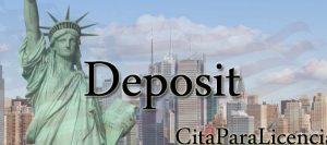citas para licencia conducir Deposit DELAWARE NY