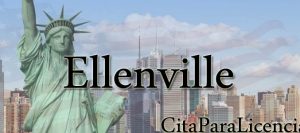 citas para licencia conducir Ellenville Ulster NY