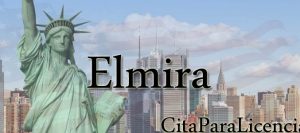 citas para licencia conducir Elmira Chemung NY