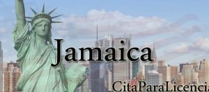 citas para licencia conducir Jamaica Queens New York