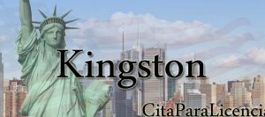 citas para licencia conducir Kingston Ulster Nueva York