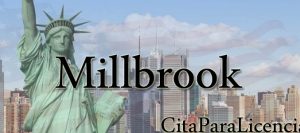 citas para licencia conducir Millbrook Dutchess New York
