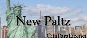 citas para licencia conducir New Paltz Ulster New York